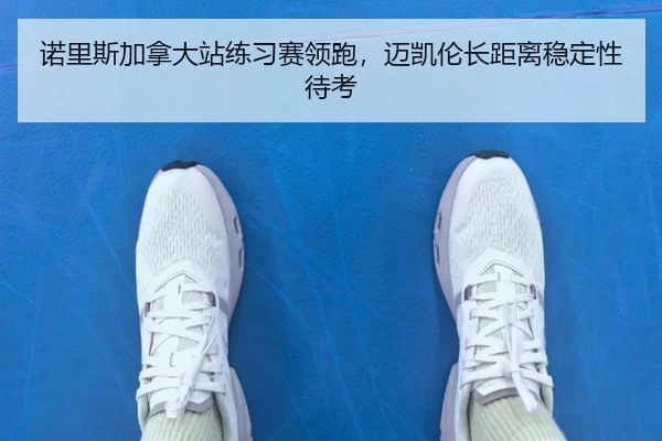 诺里斯加拿大站练习赛领跑，迈凯伦长距离稳定性待考