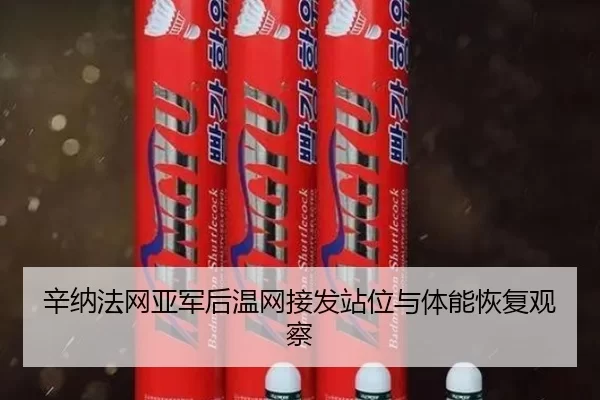 辛纳法网亚军后温网接发站位与体能恢复观察